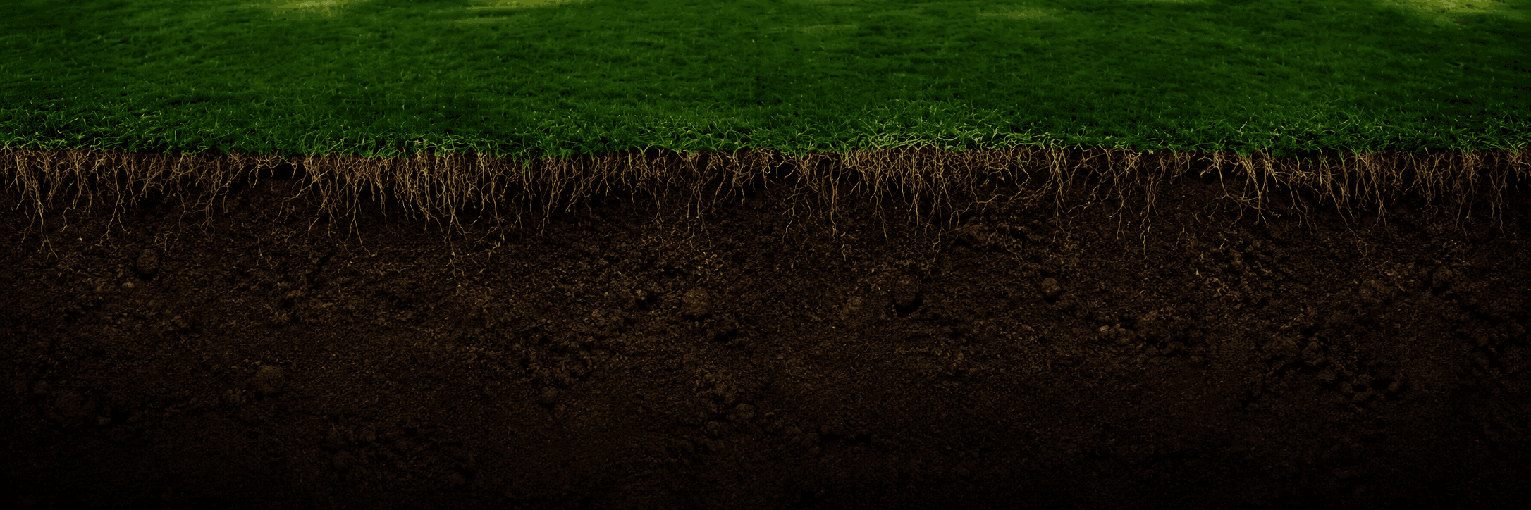 Underground soil layer beneath the villa
